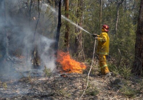 AdobeStock_409574323Bushfire-firefighter-small.jpg